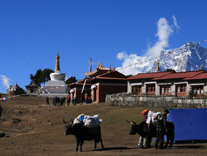 Everest Sherpa Cultural Trek